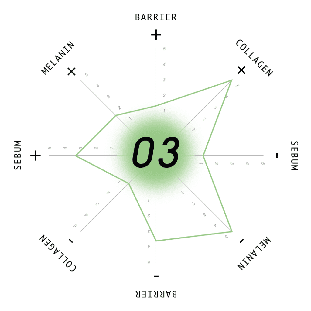 SkinSize /03